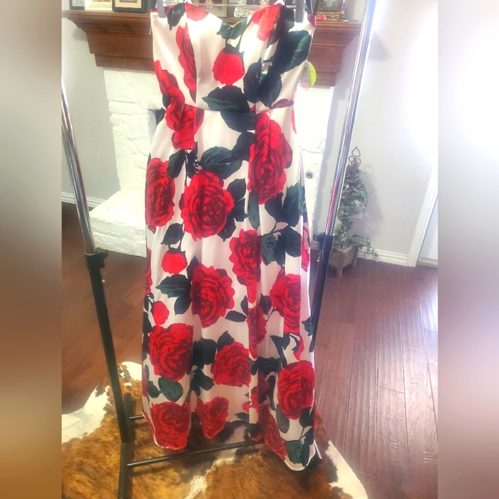 NWT Windsor Sz 7 A-line Strapless Dress